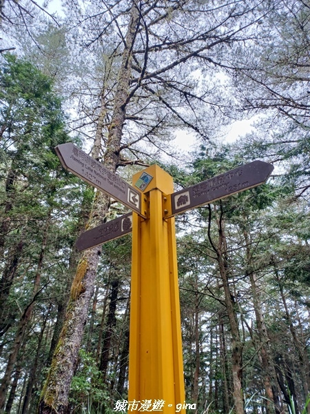 20230609_135816.jpg 20230609_135816.jpg