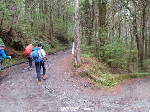 20230609_135840.jpg 20230609_135840.jpg