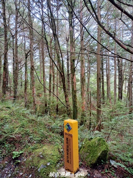 【台東海端】坐的夠久等到藍寶石般的嘉明湖。No28百岳三叉山