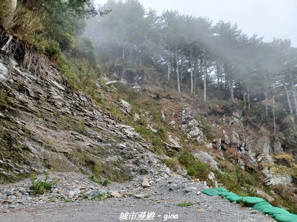 20230609_142901.jpg 20230609_142901.jpg