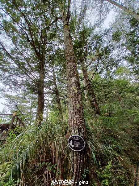 20230609_141128.jpg 20230609_141128.jpg