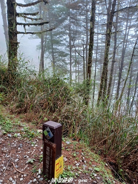 【台東海端】坐的夠久等到藍寶石般的嘉明湖。No28百岳三叉山