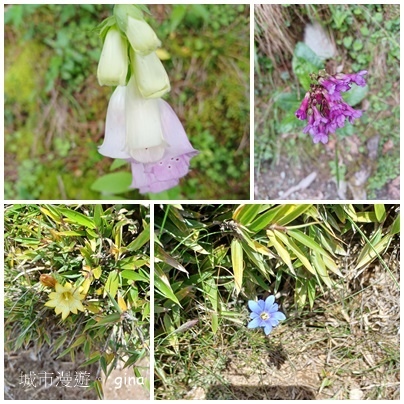 20230609_154402.jpg 20230609_154402.jpg