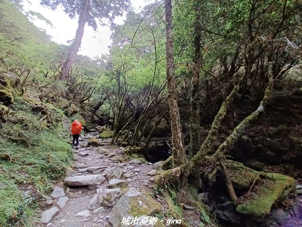 【台東海端】坐的夠久等到藍寶石般的嘉明湖。No28百岳三叉山