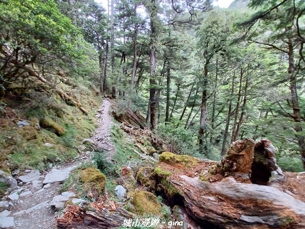 20230609_154418.jpg 20230609_154418.jpg