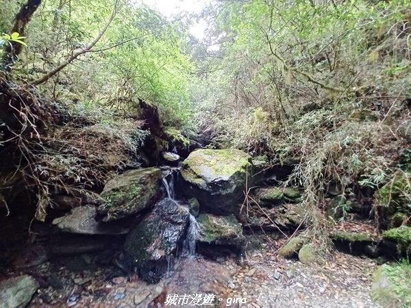 20230609_154855.jpg 20230609_154855.jpg