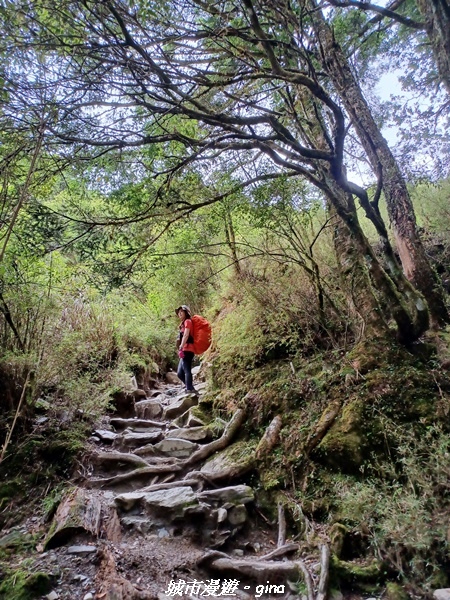 20230609_155159.jpg 20230609_155159.jpg