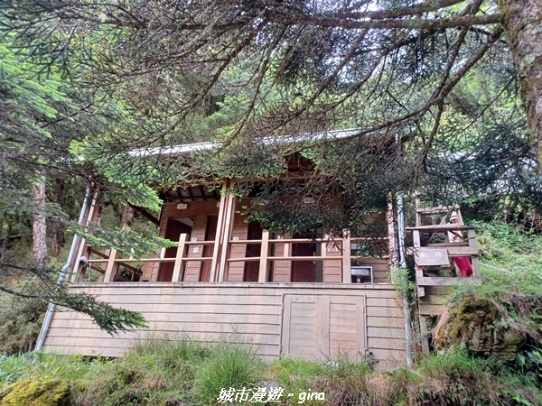 20230609_172710.jpg 20230609_172710.jpg