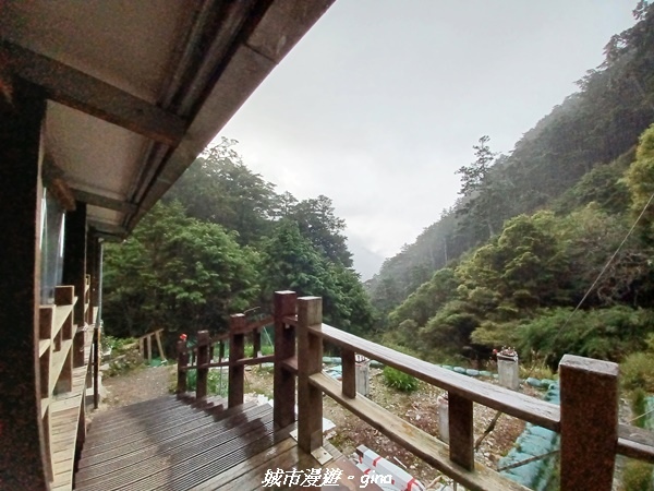 20230609_180356.jpg 20230609_180356.jpg