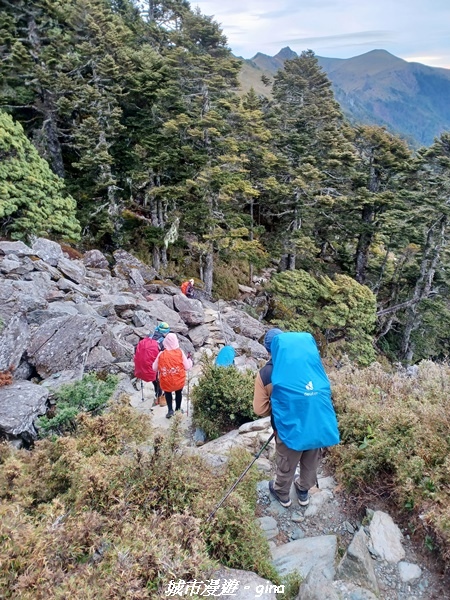 20230610_060927.jpg 20230610_060927.jpg