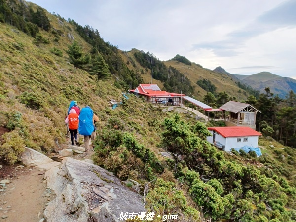 【台東海端】坐的夠久等到藍寶石般的嘉明湖。No28百岳三叉山