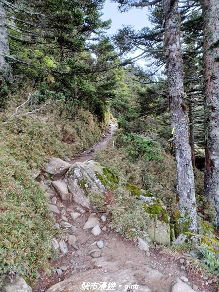 20230610_071344.jpg 20230610_071344.jpg