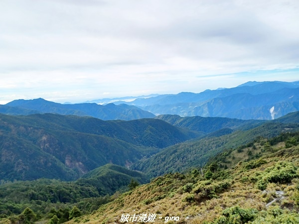 20230610_073953.jpg 20230610_073953.jpg