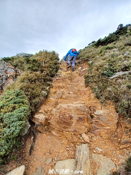 20230610_075418.jpg 20230610_075418.jpg