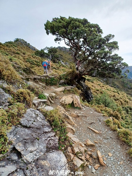 20230610_074007.jpg 20230610_074007.jpg