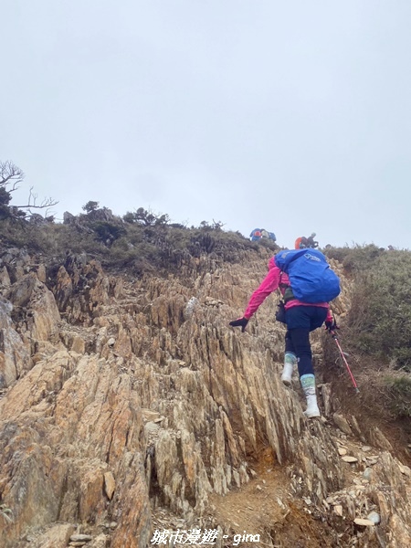 20230610_075419.jpg 20230610_075419.jpg