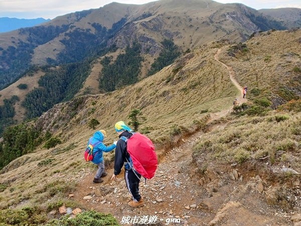 20230610_081449.jpg 20230610_081449.jpg