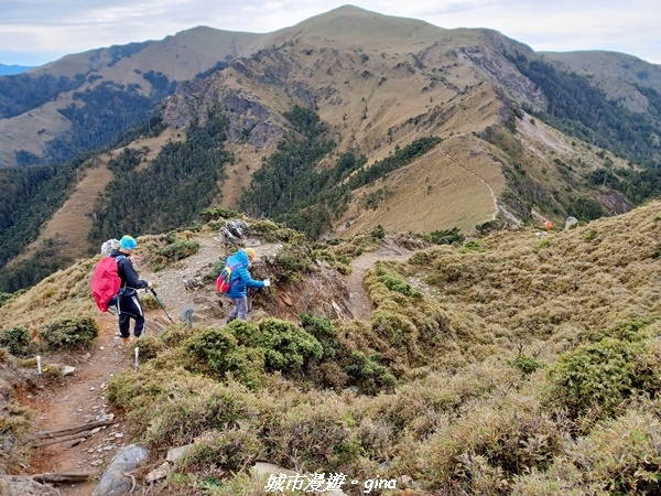 20230610_082100.jpg 20230610_082100.jpg