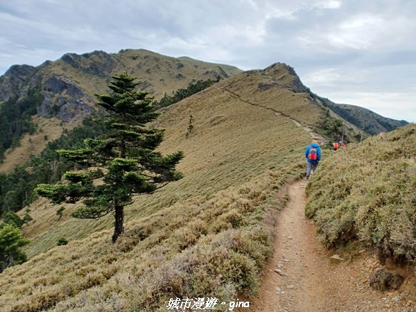 20230610_083228.jpg 20230610_083228.jpg