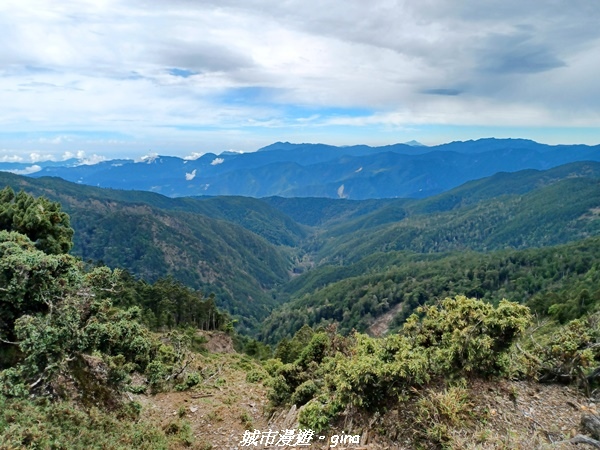 20230610_083934.jpg 20230610_083934.jpg