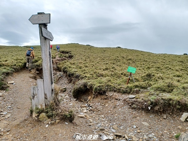 【台東海端】坐的夠久等到藍寶石般的嘉明湖。No28百岳三叉山