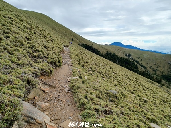 20230610_091238.jpg 20230610_091238.jpg