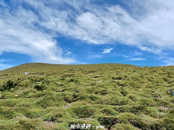 20230610_105836.jpg 20230610_105836.jpg