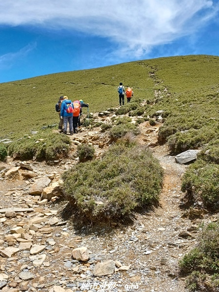 20230610_111223.jpg 20230610_111223.jpg