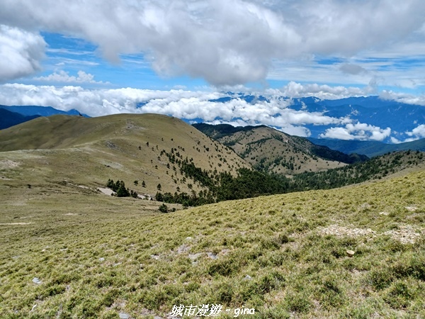 20230610_111759.jpg 20230610_111759.jpg