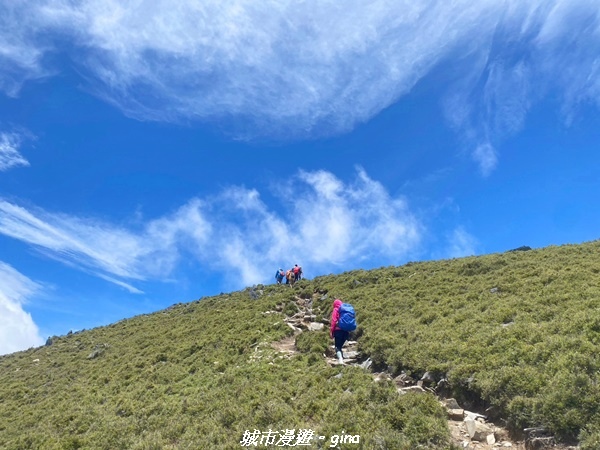 【台東海端】坐的夠久等到藍寶石般的嘉明湖。No28百岳三叉山