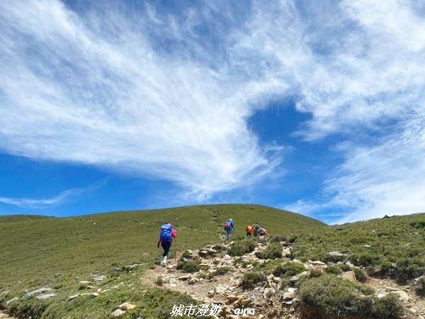 20230610_111803.jpg 20230610_111803.jpg