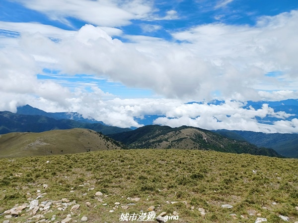 20230610_113319.jpg 20230610_113319.jpg