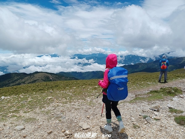 20230610_113743_016.jpg 20230610_113743_016.jpg