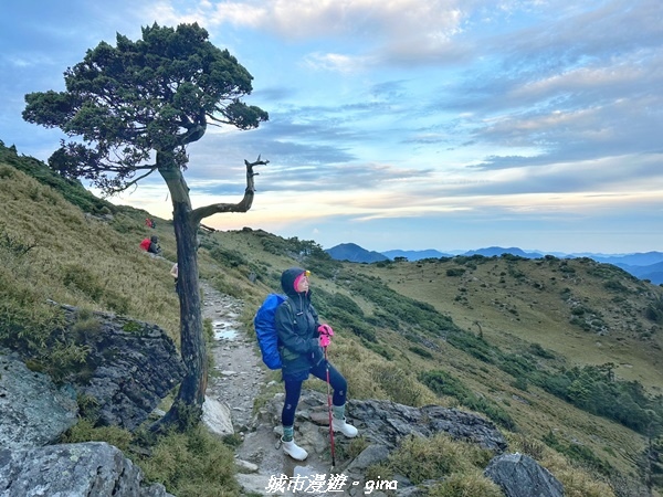 20230610_113848.jpg 20230610_113848.jpg