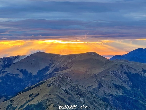 20230611_051819.jpg 20230611_051819.jpg