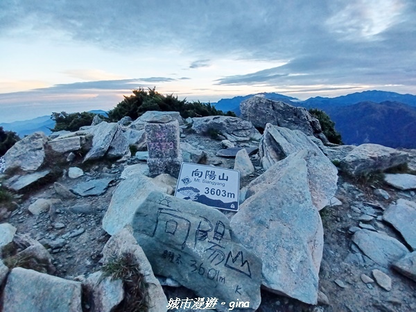 20230611_051335.jpg 20230611_051335.jpg