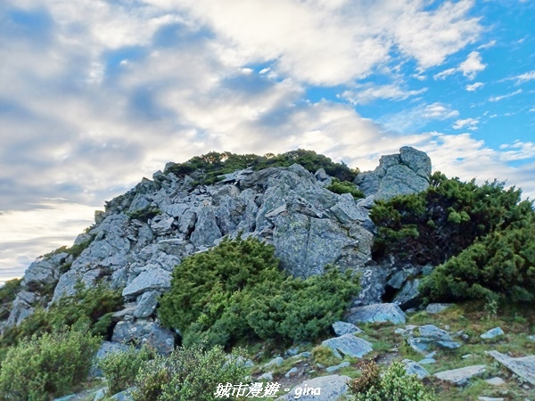 20230611_053509.jpg 20230611_053509.jpg