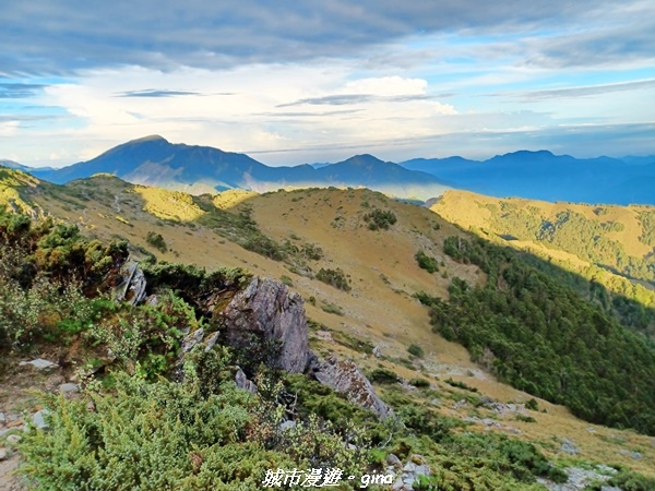 20230611_054626.jpg 20230611_054626.jpg