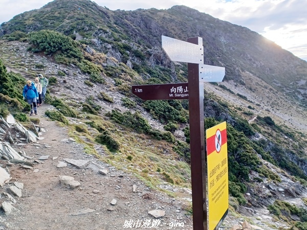 20230611_055107.jpg 20230611_055107.jpg