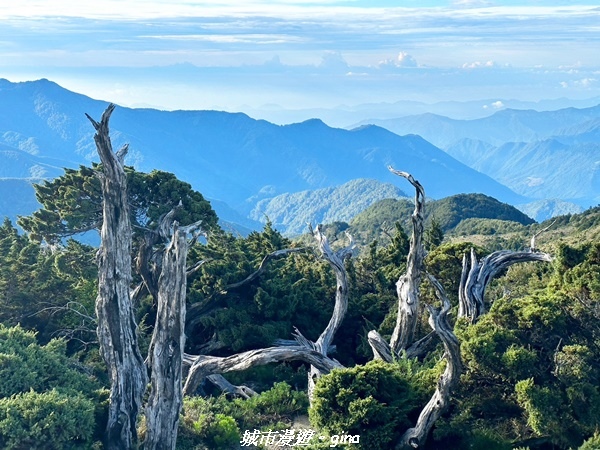 20230611_063324.jpg 20230611_063324.jpg