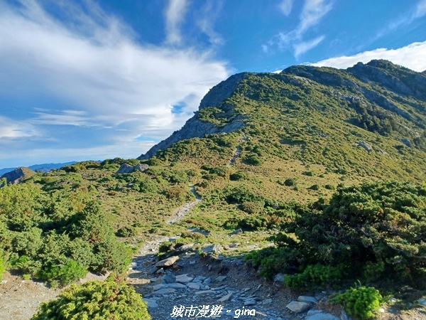 20230611_064242.jpg 20230611_064242.jpg