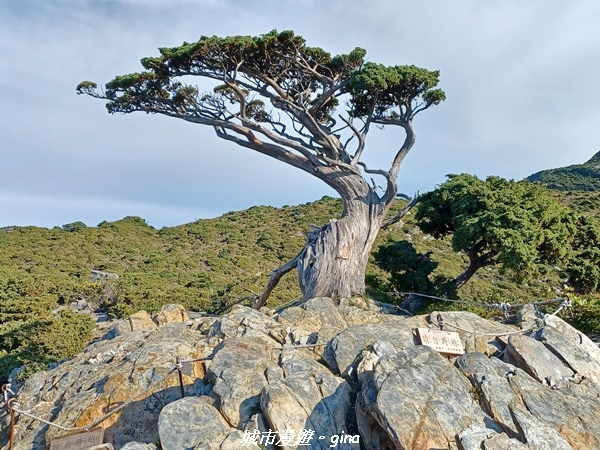 20230611_070156.jpg 20230611_070156.jpg