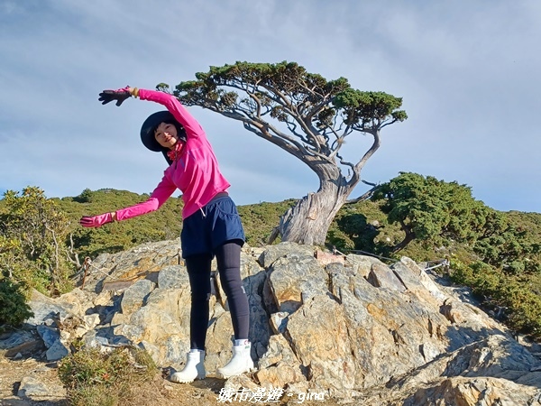 20230611_070455.jpg 20230611_070455.jpg