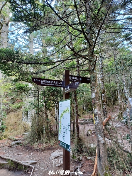 20230611_073538.jpg 20230611_073538.jpg