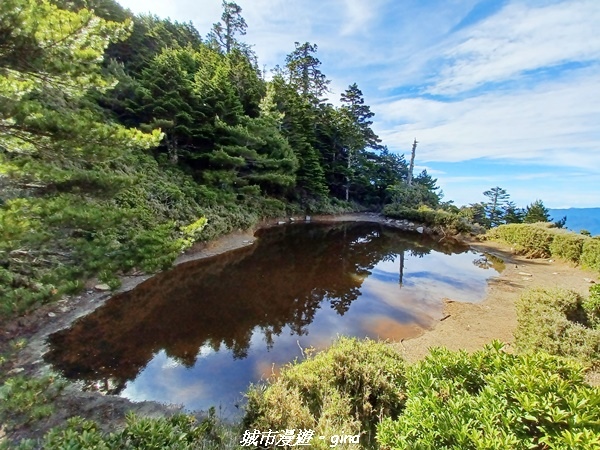 【台東海端】坐的夠久等到藍寶石般的嘉明湖。No28百岳三叉山