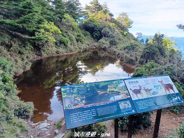 20230611_075548.jpg 20230611_075548.jpg