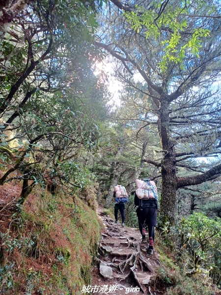 【台東海端】坐的夠久等到藍寶石般的嘉明湖。No28百岳三叉山