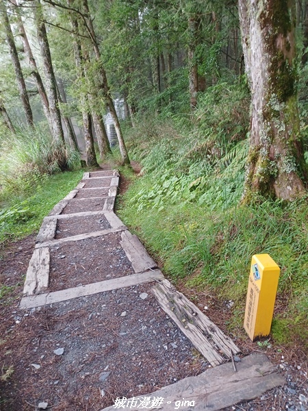 20230611_103750.jpg 20230611_103750.jpg