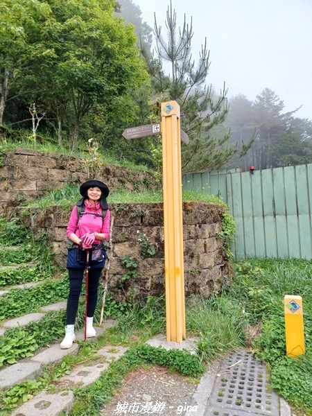 【台東海端】坐的夠久等到藍寶石般的嘉明湖。No28百岳三叉山