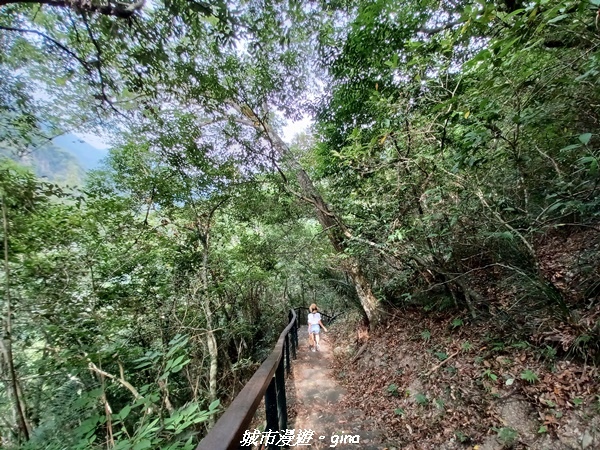 【花蓮秀林】跨距在蜿蜒曲折的立霧溪上。 布洛灣吊橋 (山月吊